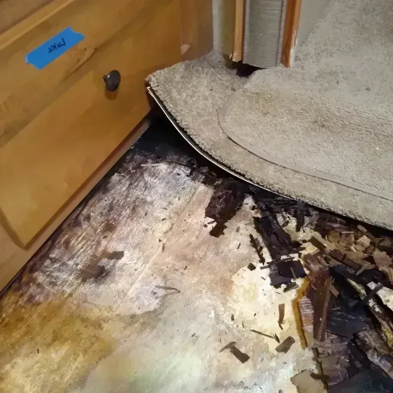 Wood Floor Water Damage in Perryville, MD